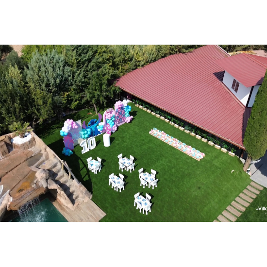 Título primario (1)